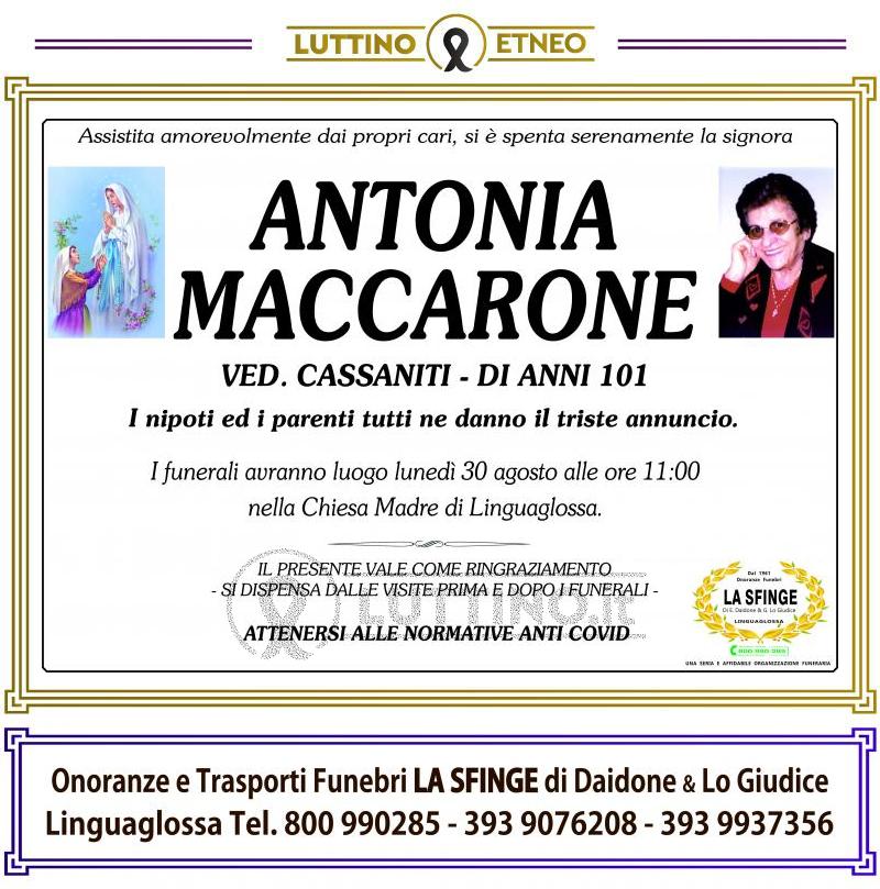 Antonia  Maccarrone 